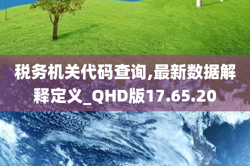 税务机关代码查询,最新数据解释定义_QHD版17.65.20