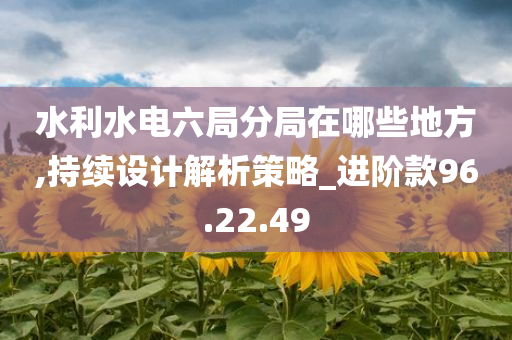 水利水电六局分局在哪些地方,持续设计解析策略_进阶款96.22.49