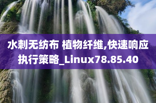 水刺无纺布 植物纤维,快速响应执行策略_Linux78.85.40