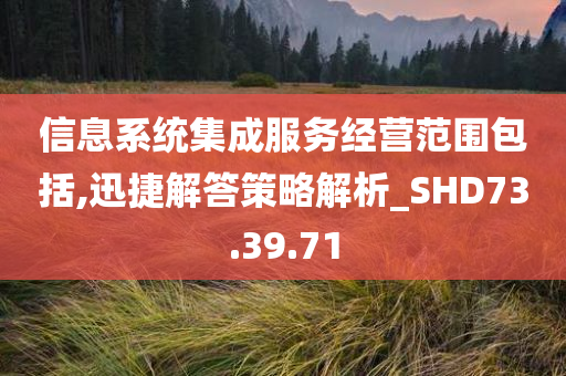 信息系统集成服务经营范围包括,迅捷解答策略解析_SHD73.39.71