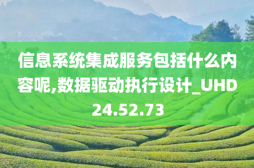 信息系统集成服务包括什么内容呢,数据驱动执行设计_UHD24.52.73