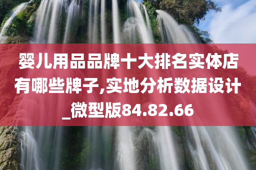 婴儿用品品牌十大排名实体店有哪些牌子,实地分析数据设计_微型版84.82.66