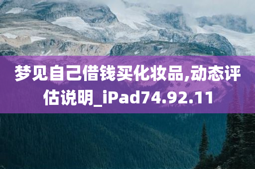 梦见自己借钱买化妆品,动态评估说明_iPad74.92.11