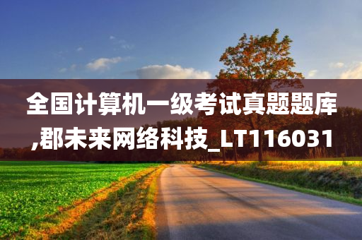 全国计算机一级考试真题题库,郡未来网络科技_LT116031