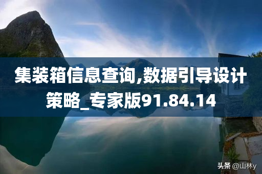 集装箱信息查询,数据引导设计策略_专家版91.84.14