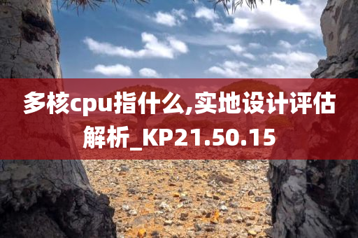 多核cpu指什么,实地设计评估解析_KP21.50.15