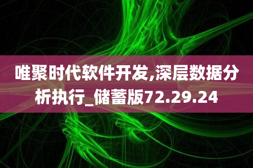 唯聚时代软件开发,深层数据分析执行_储蓄版72.29.24