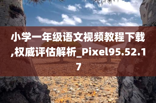 小学一年级语文视频教程下载,权威评估解析_Pixel95.52.17