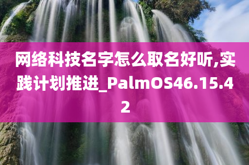 网络科技名字怎么取名好听,实践计划推进_PalmOS46.15.42