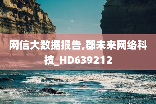 网信大数据报告,郡未来网络科技_HD639212