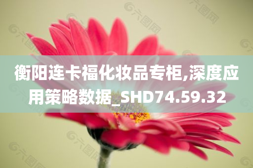 衡阳连卡福化妆品专柜,深度应用策略数据_SHD74.59.32