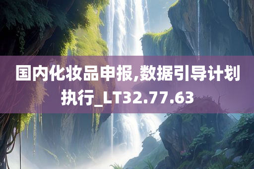 国内化妆品申报,数据引导计划执行_LT32.77.63