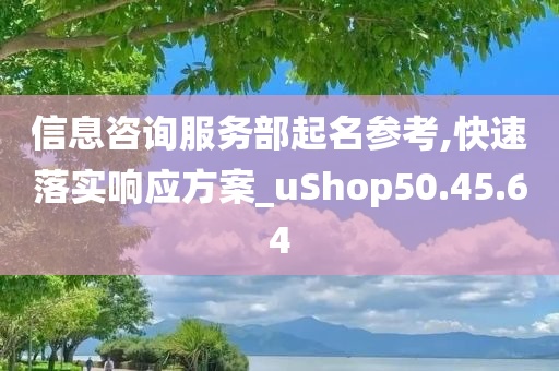 信息咨询服务部起名参考,快速落实响应方案_uShop50.45.64