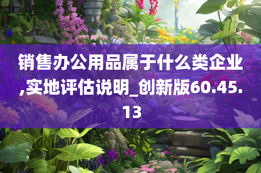 销售办公用品属于什么类企业,实地评估说明_创新版60.45.13