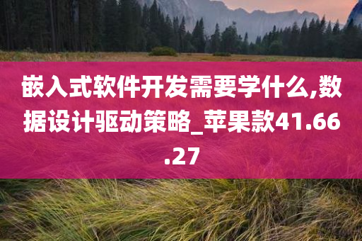 嵌入式软件开发需要学什么,数据设计驱动策略_苹果款41.66.27