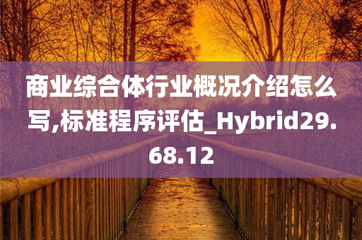 商业综合体行业概况介绍怎么写,标准程序评估_Hybrid29.68.12