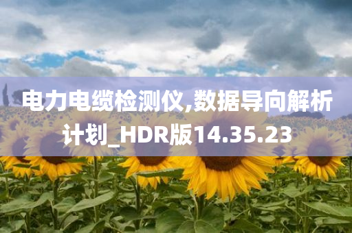 电力电缆检测仪,数据导向解析计划_HDR版14.35.23