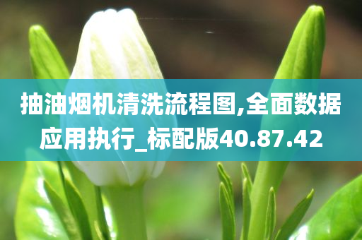 抽油烟机清洗流程图,全面数据应用执行_标配版40.87.42