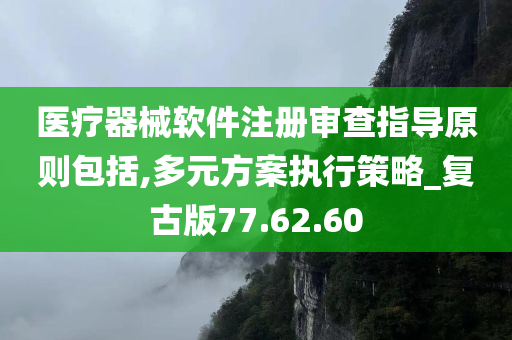 医疗器械软件注册审查指导原则包括,多元方案执行策略_复古版77.62.60