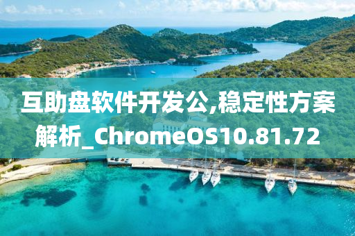 互助盘软件开发公,稳定性方案解析_ChromeOS10.81.72