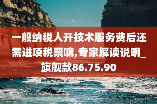 一般纳税人开技术服务费后还需进项税票嘛,专家解读说明_旗舰款86.75.90