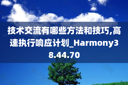 技术交流有哪些方法和技巧,高速执行响应计划_Harmony38.44.70