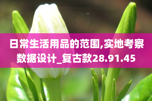 日常生活用品的范围,实地考察数据设计_复古款28.91.45