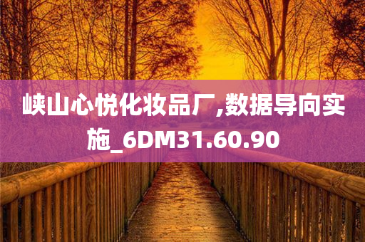 峡山心悦化妆品厂,数据导向实施_6DM31.60.90