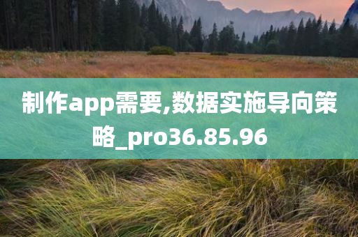 制作app需要,数据实施导向策略_pro36.85.96