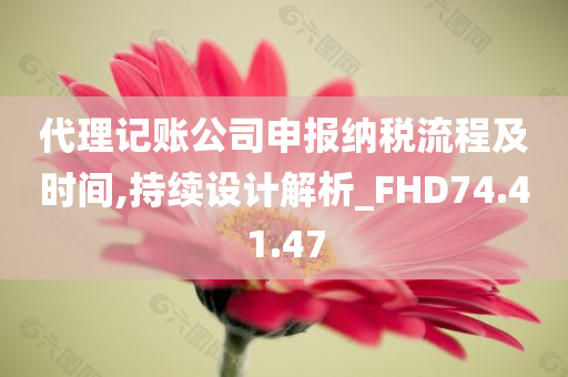 代理记账公司申报纳税流程及时间,持续设计解析_FHD74.41.47