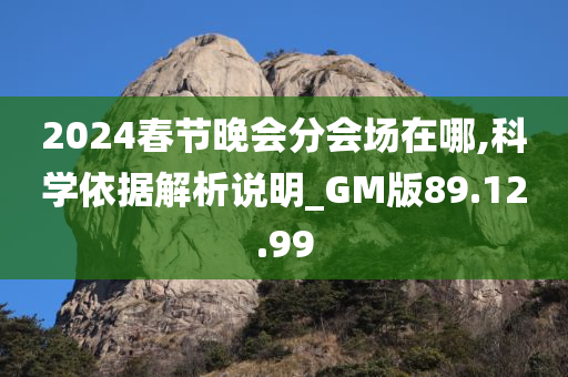 2024春节晚会分会场在哪,科学依据解析说明_GM版89.12.99