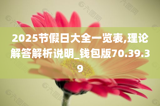 2025节假日大全一览表,理论解答解析说明_钱包版70.39.39