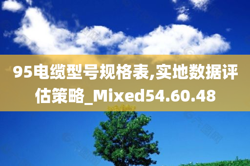 95电缆型号规格表,实地数据评估策略_Mixed54.60.48