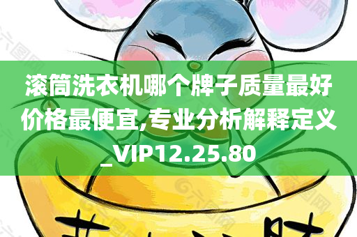 滚筒洗衣机哪个牌子质量最好价格最便宜,专业分析解释定义_VIP12.25.80