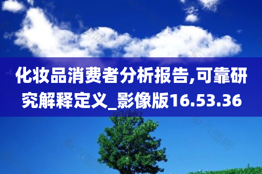 化妆品消费者分析报告,可靠研究解释定义_影像版16.53.36