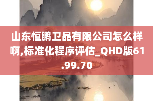 山东恒鹏卫品有限公司怎么样啊,标准化程序评估_QHD版61.99.70