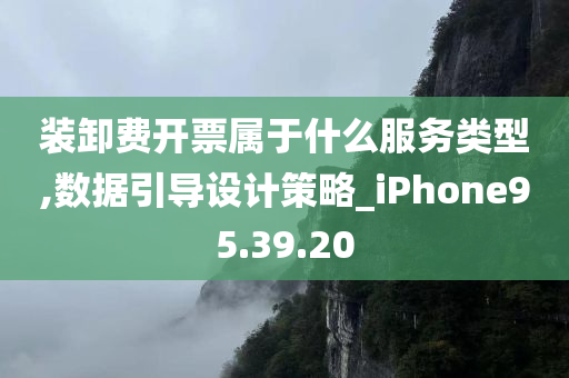 装卸费开票属于什么服务类型,数据引导设计策略_iPhone95.39.20