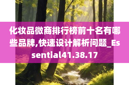 化妆品微商排行榜前十名有哪些品牌,快速设计解析问题_Essential41.38.17