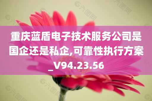 重庆蓝盾电子技术服务公司是国企还是私企,可靠性执行方案_V94.23.56