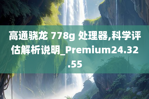 高通骁龙 778g 处理器,科学评估解析说明_Premium24.32.55