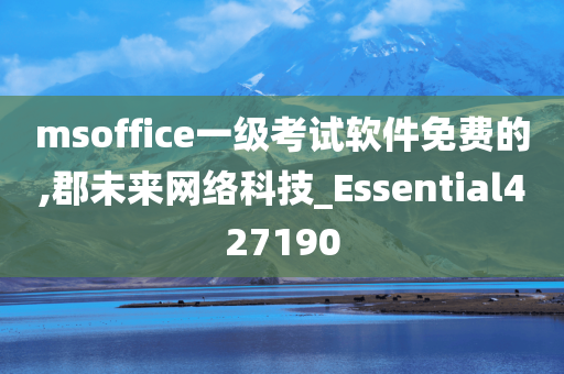 msoffice一级考试软件免费的,郡未来网络科技_Essential427190