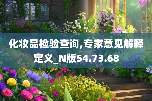 化妆品检验查询,专家意见解释定义_N版54.73.68