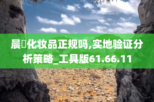 晨玥化妆品正规吗,实地验证分析策略_工具版61.66.11