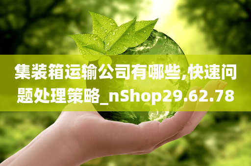 集装箱运输公司有哪些,快速问题处理策略_nShop29.62.78