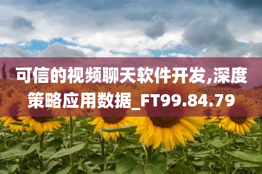 可信的视频聊天软件开发,深度策略应用数据_FT99.84.79