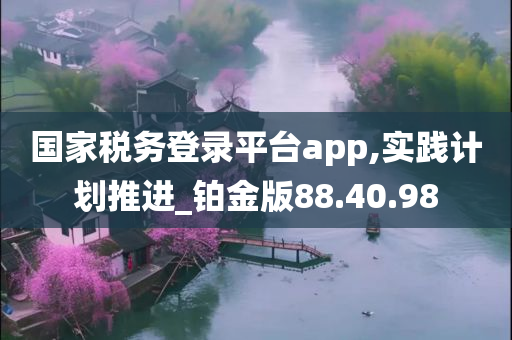 国家税务登录平台app,实践计划推进_铂金版88.40.98