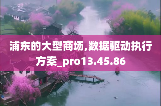 浦东的大型商场,数据驱动执行方案_pro13.45.86