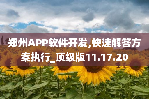 郑州APP软件开发,快速解答方案执行_顶级版11.17.20