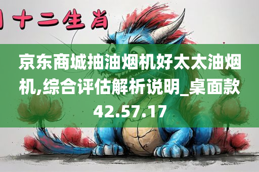 京东商城抽油烟机好太太油烟机,综合评估解析说明_桌面款42.57.17