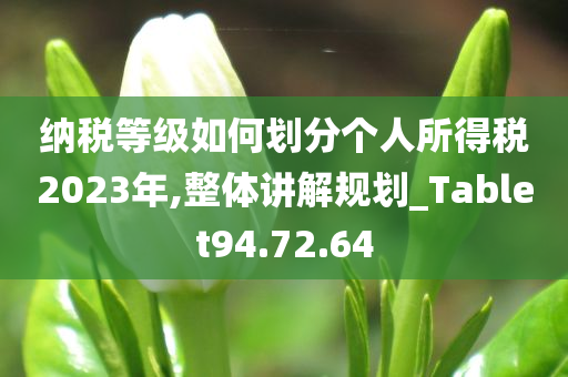 纳税等级如何划分个人所得税2023年,整体讲解规划_Tablet94.72.64